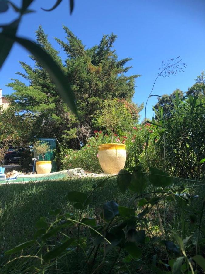 B&B Oasis Des Lavandes - Chambre Coqueliot ヴィルヌーヴ・レ・ザヴィニョン エクステリア 写真
